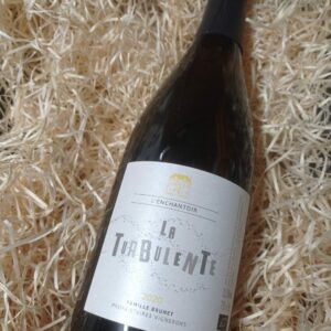 enchantoir petillant naturel blanc chenin caviste dinan